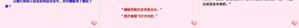 三年级语文下册 第六单元 21 放飞蜻蜓课件 语文S版-语文S版小学三年级下册语文课件