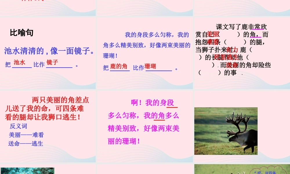 三年级语文下册 第二单元 7《鹿角和鹿腿》课堂教学课件2 新人教版-新人教版小学三年级下册语文课件