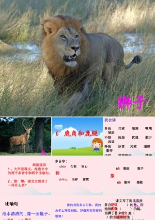 三年级语文下册 第二单元 7《鹿角和鹿腿》课堂教学课件2 新人教版-新人教版小学三年级下册语文课件