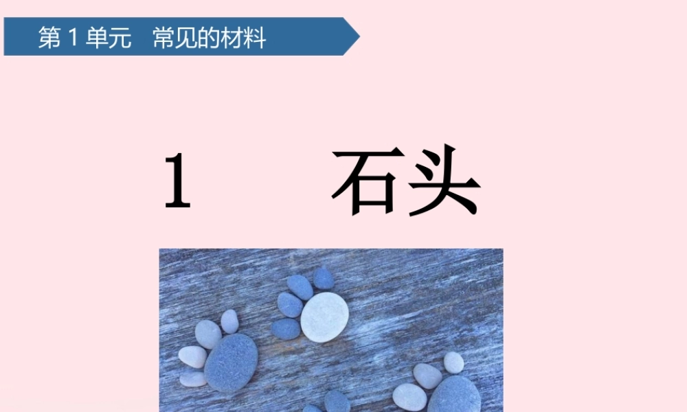 二年级科学上册 第一单元 动物感知环境 第1课 石头课件 青岛版六三制-青岛版小学二年级上册自然科学课件
