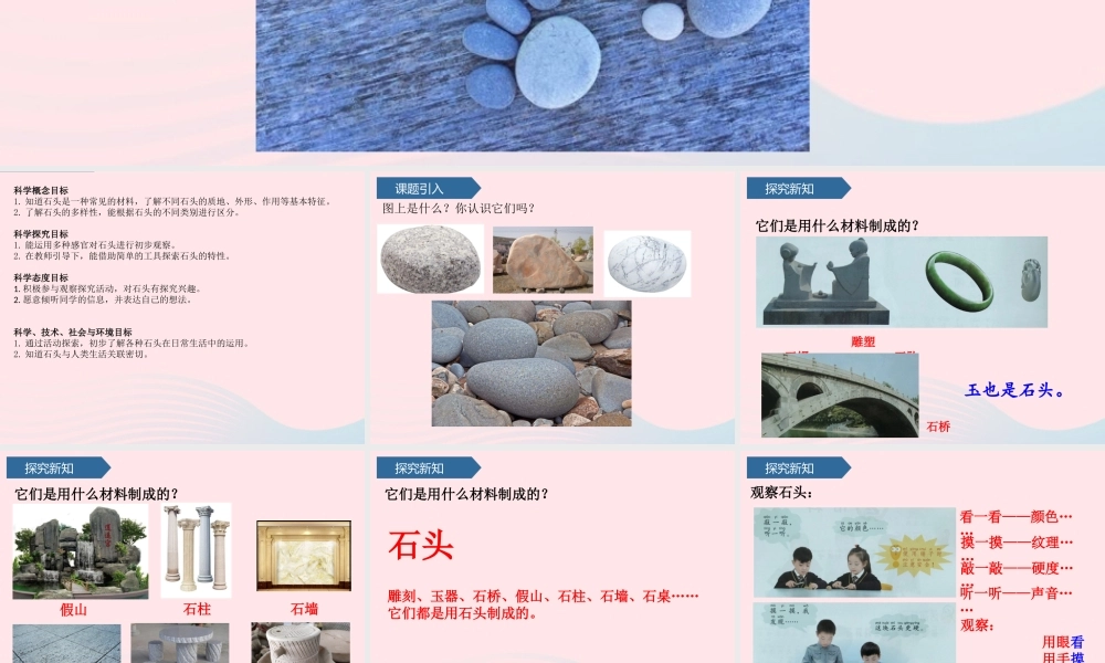 二年级科学上册 第一单元 动物感知环境 第1课 石头课件 青岛版六三制-青岛版小学二年级上册自然科学课件