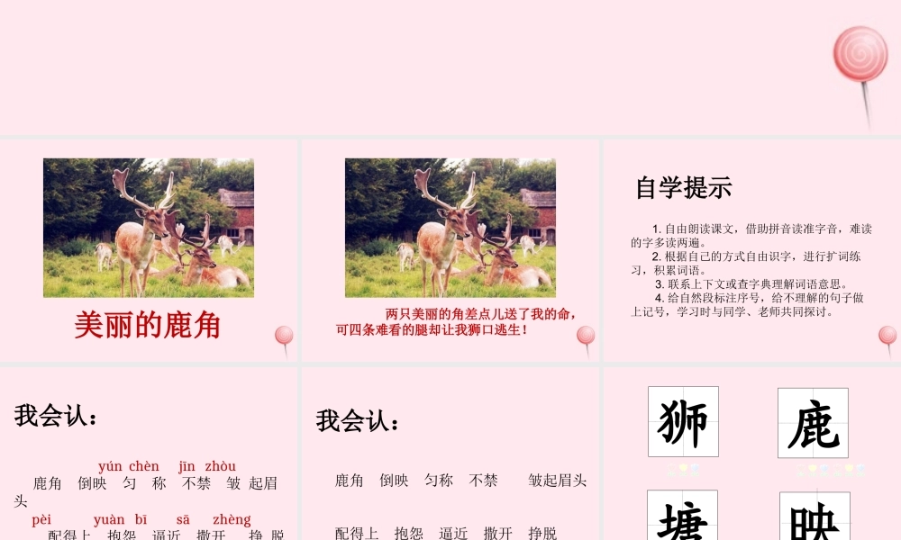 三年级语文下册 第二单元 7狮子和鹿课件 新人教版-新人教版小学三年级下册语文课件