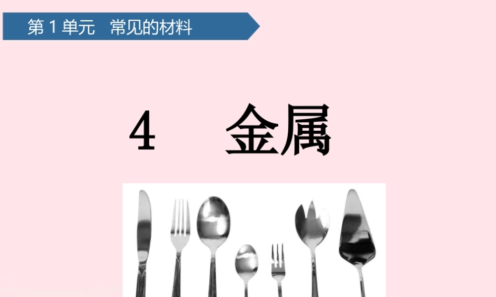 二年级科学上册 第一单元 动物感知环境 第4课 金属课件 青岛版六三制-青岛版小学二年级上册自然科学课件