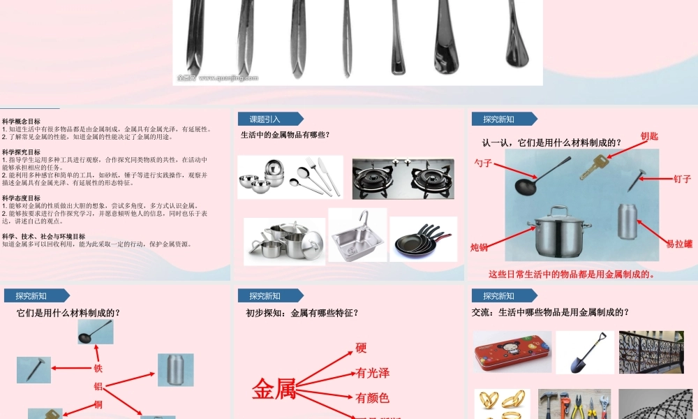 二年级科学上册 第一单元 动物感知环境 第4课 金属课件 青岛版六三制-青岛版小学二年级上册自然科学课件