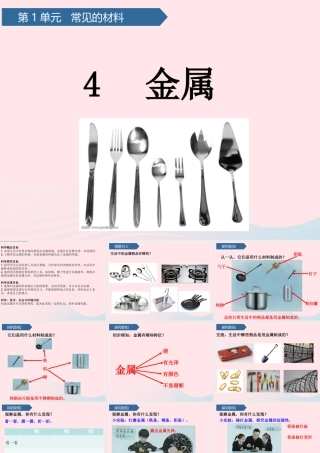 二年级科学上册 第一单元 动物感知环境 第4课 金属课件 青岛版六三制-青岛版小学二年级上册自然科学课件