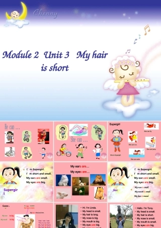 二年级英语上册 Unit 6 My hair is short课件3 牛津上海版-牛津上海版小学二年级上册英语课件