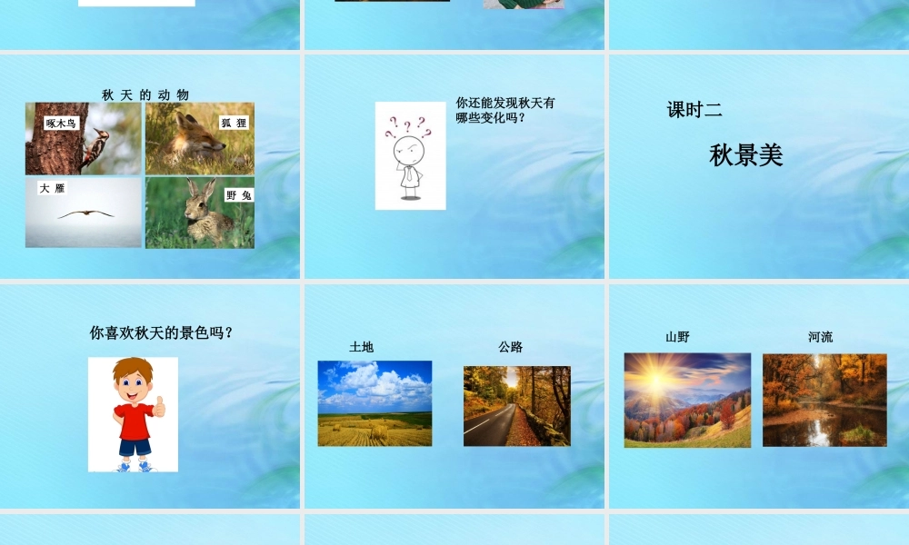 二年级科学上册 秋和冬 7 秋天到了课件 冀教版-冀教版小学二年级上册自然科学课件