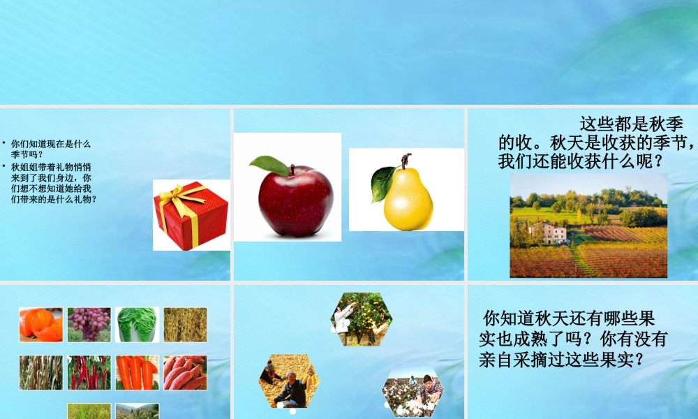 二年级科学上册 秋和冬 8 秋天的收获课件 冀教版-冀教版小学二年级上册自然科学课件