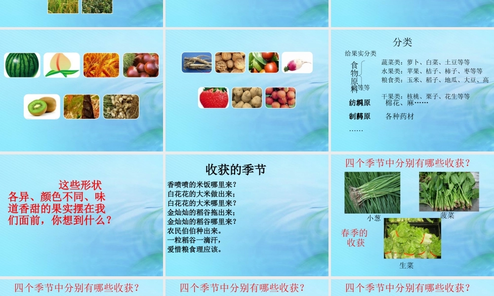 二年级科学上册 秋和冬 8 秋天的收获课件 冀教版-冀教版小学二年级上册自然科学课件