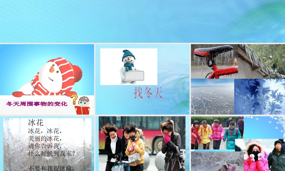 二年级科学上册 秋和冬 9 寒冷的冬天课件 冀教版-冀教版小学二年级上册自然科学课件