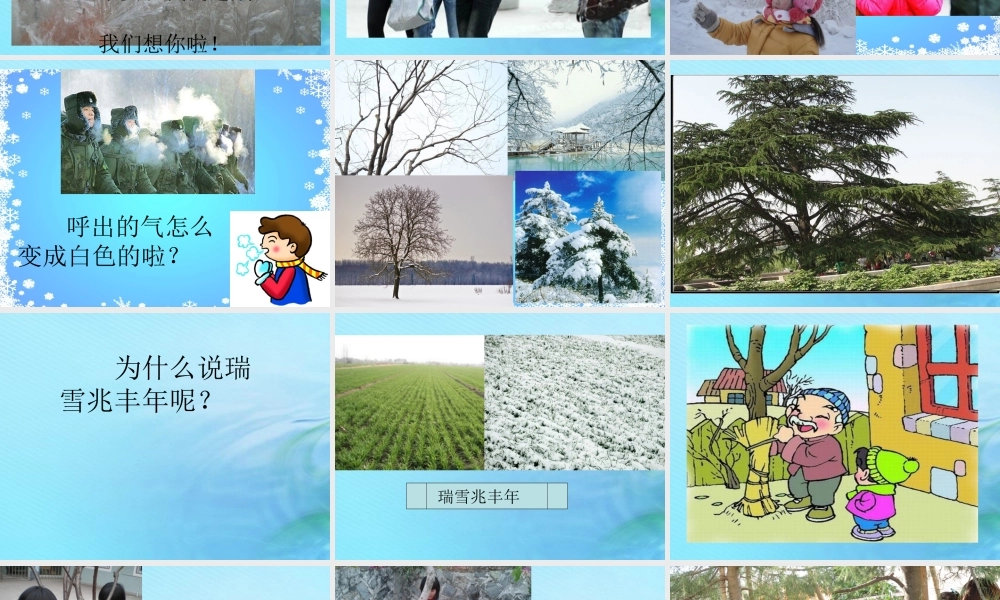 二年级科学上册 秋和冬 9 寒冷的冬天课件 冀教版-冀教版小学二年级上册自然科学课件