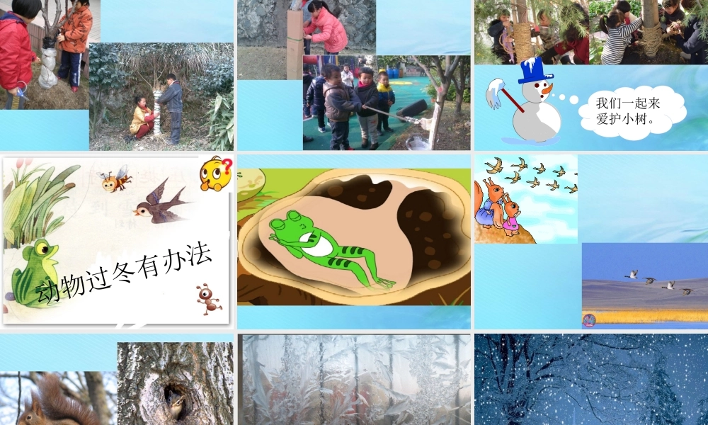 二年级科学上册 秋和冬 9 寒冷的冬天课件 冀教版-冀教版小学二年级上册自然科学课件