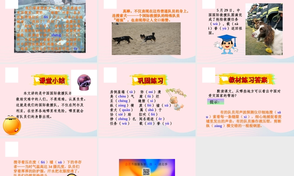 三年级语文下册 第七组 28《中国国际救援队 真棒》课堂教学课件3 新人教版-新人教版小学三年级下册语文课件