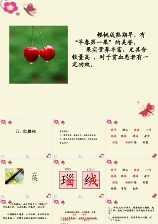 三年级语文下册 第8单元 37《红樱桃》课件2 沪教版-沪教版小学三年级下册语文课件
