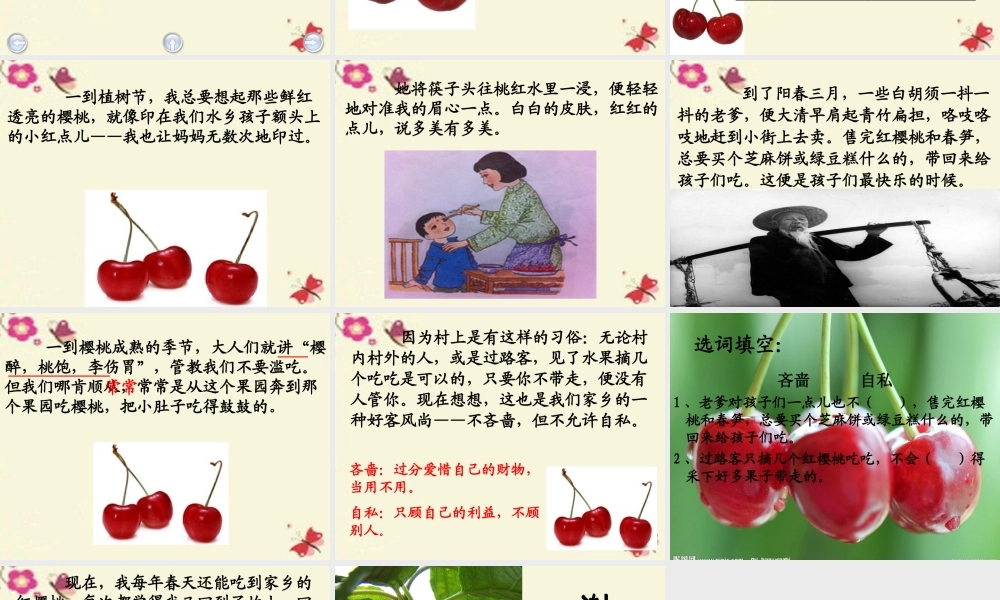 三年级语文下册 第8单元 37《红樱桃》课件5 沪教版-沪教版小学三年级下册语文课件