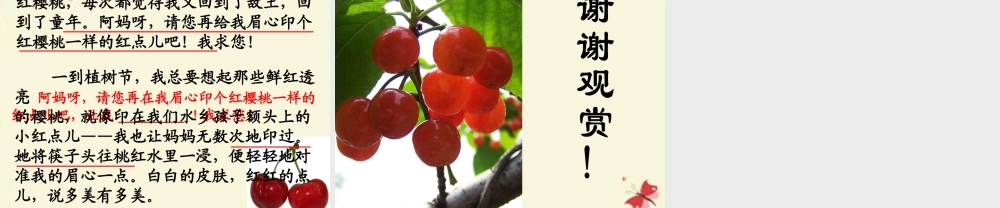 三年级语文下册 第8单元 37《红樱桃》课件5 沪教版-沪教版小学三年级下册语文课件