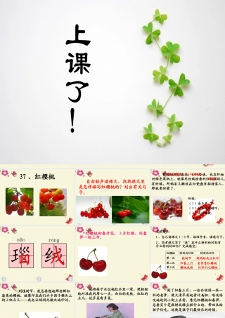 三年级语文下册 第8单元 37《红樱桃》课件5 沪教版-沪教版小学三年级下册语文课件