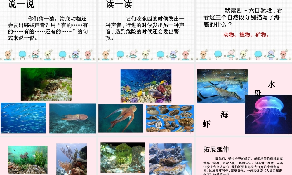 三年级语文下册 第六单元 23海底世界课件 新人教版-新人教版小学三年级下册语文课件