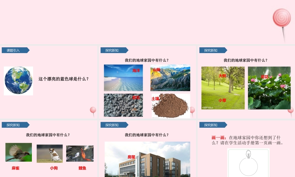 二年级科学上册 我们的地球家园 1地球家园中有什么课件 教科版-教科版小学二年级上册自然科学课件