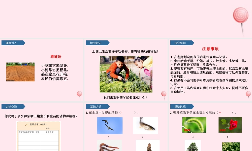 二年级科学上册 我们的地球家园 2土壤-动植物的乐园课件 教科版-教科版小学二年级上册自然科学课件