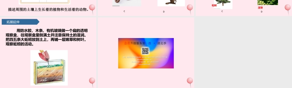 二年级科学上册 我们的地球家园 2土壤-动植物的乐园课件 教科版-教科版小学二年级上册自然科学课件