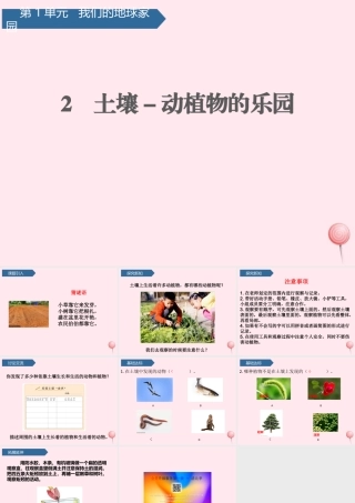 二年级科学上册 我们的地球家园 2土壤-动植物的乐园课件 教科版-教科版小学二年级上册自然科学课件