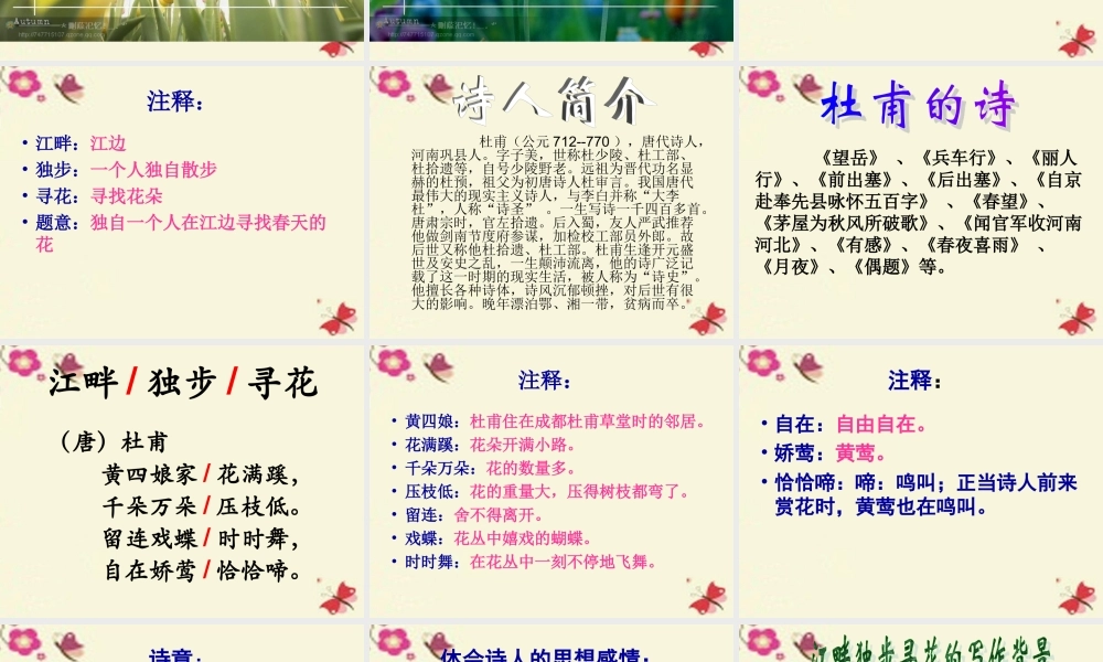 三年级语文下册 第8单元 古诗诵读《江畔独步寻花（其六）》课件1 沪教版-沪教版小学三年级下册语文课件