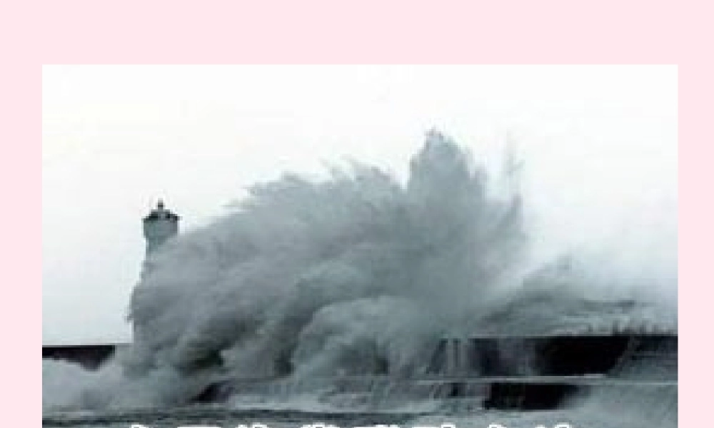 三年级语文下册 第六单元 第17课《跟踪台风的卫星》课件 苏教版-苏教版小学三年级下册语文课件