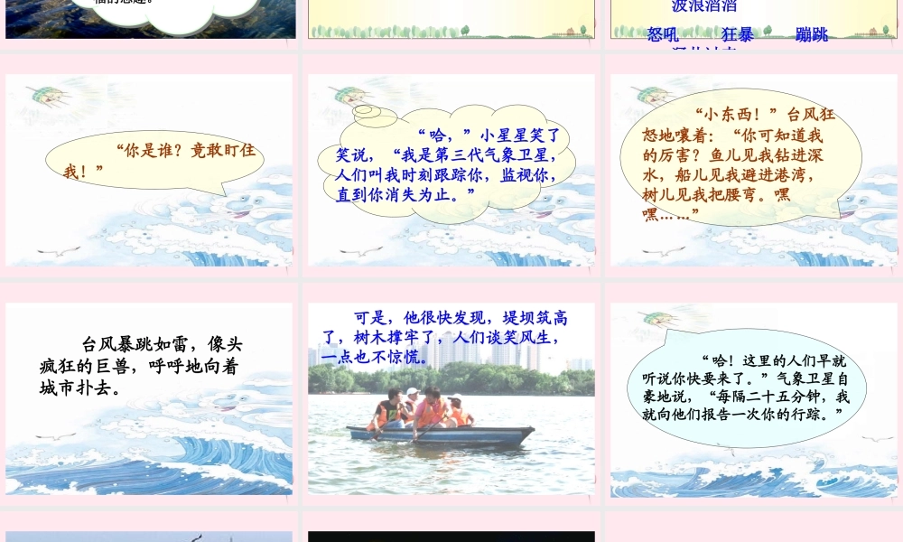 三年级语文下册 第六单元 第17课《跟踪台风的卫星》课件 苏教版-苏教版小学三年级下册语文课件