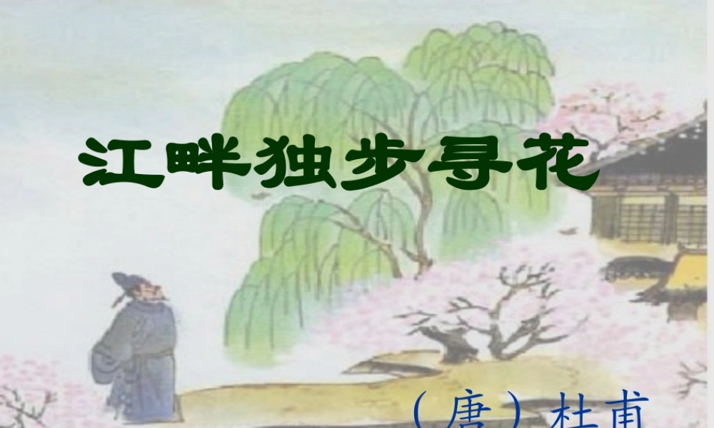 三年级语文下册 第8单元 古诗诵读《江畔独步寻花（其六）》课件2 沪教版-沪教版小学三年级下册语文课件