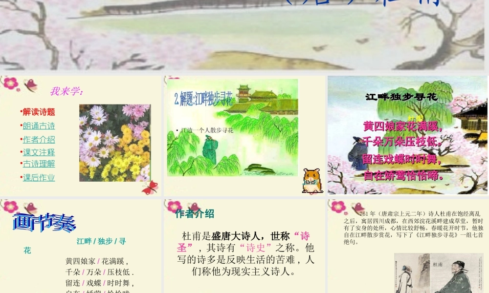 三年级语文下册 第8单元 古诗诵读《江畔独步寻花（其六）》课件2 沪教版-沪教版小学三年级下册语文课件