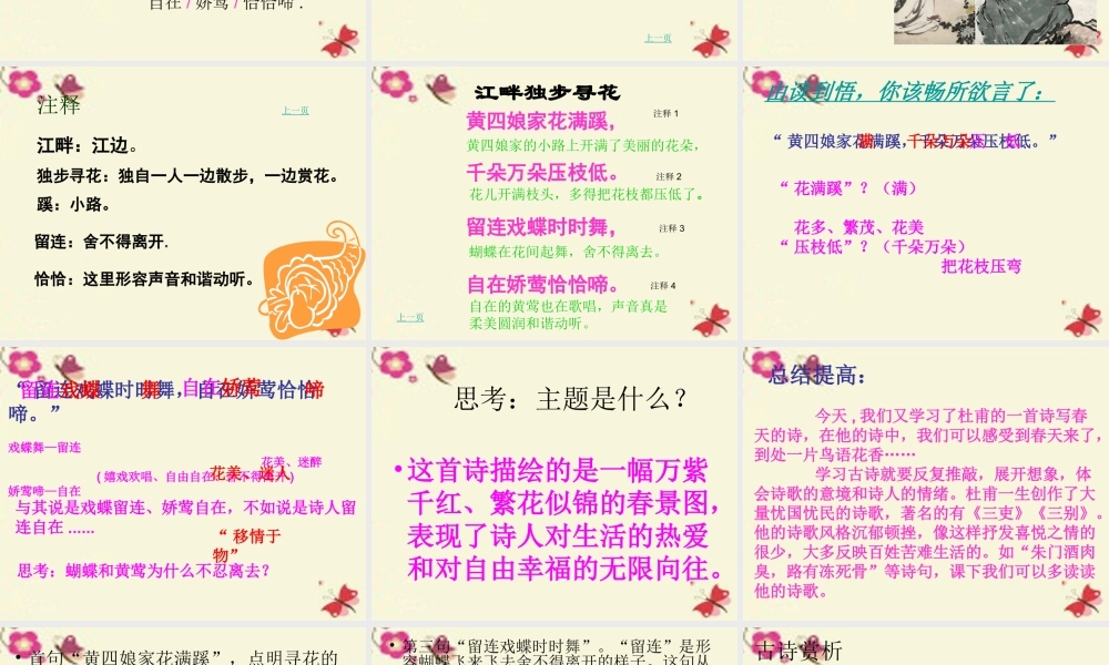 三年级语文下册 第8单元 古诗诵读《江畔独步寻花（其六）》课件2 沪教版-沪教版小学三年级下册语文课件