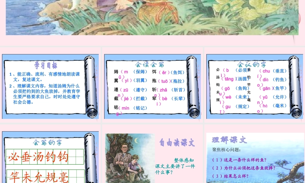 三年级语文下册 第六单元 第18课《你必须把这条鱼放掉》课件 苏教版-苏教版小学三年级下册语文课件