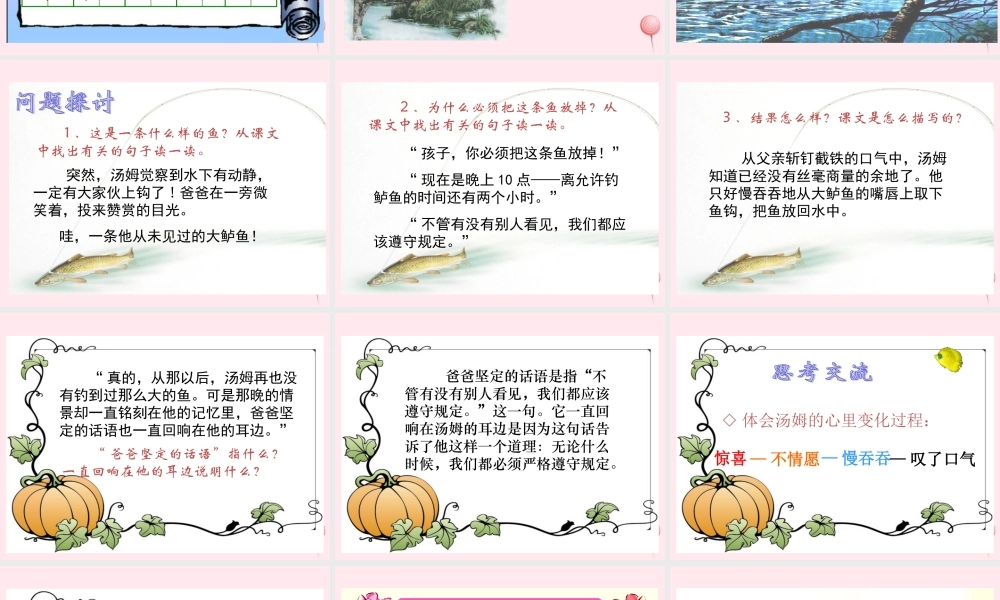 三年级语文下册 第六单元 第18课《你必须把这条鱼放掉》课件 苏教版-苏教版小学三年级下册语文课件