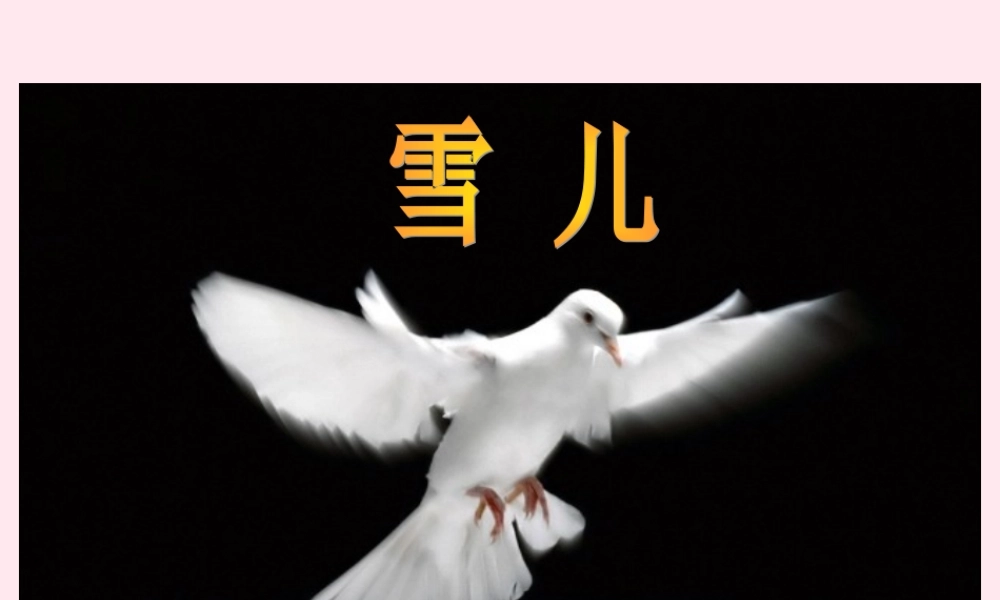 三年级语文下册 第二单元 第5课《雪儿》课件 苏教版-苏教版小学三年级下册语文课件