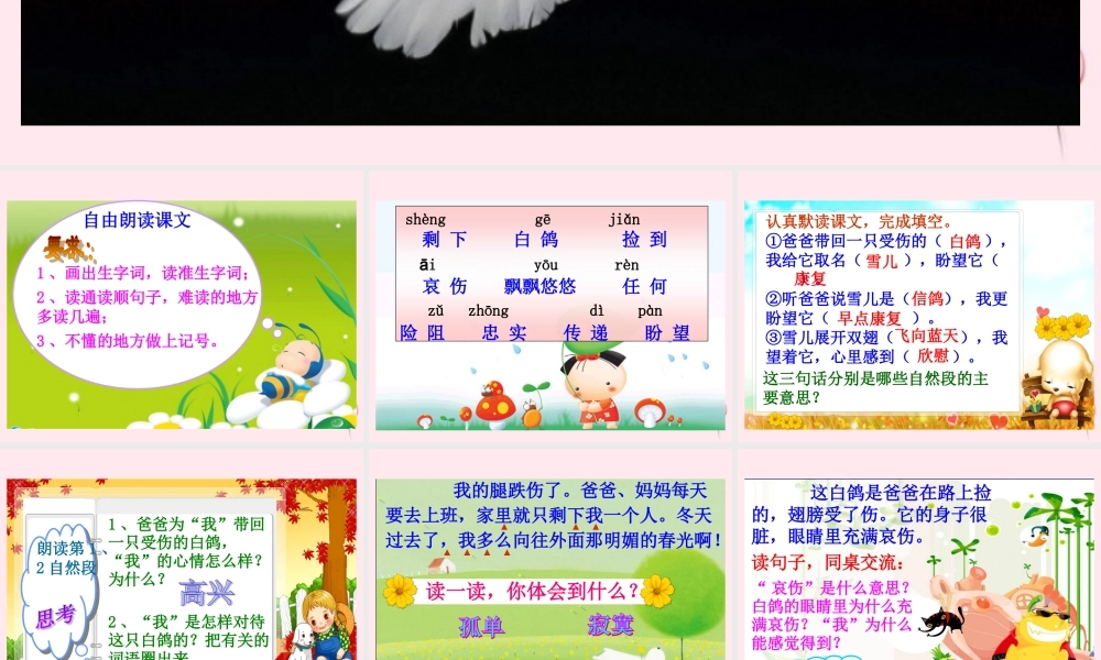 三年级语文下册 第二单元 第5课《雪儿》课件 苏教版-苏教版小学三年级下册语文课件