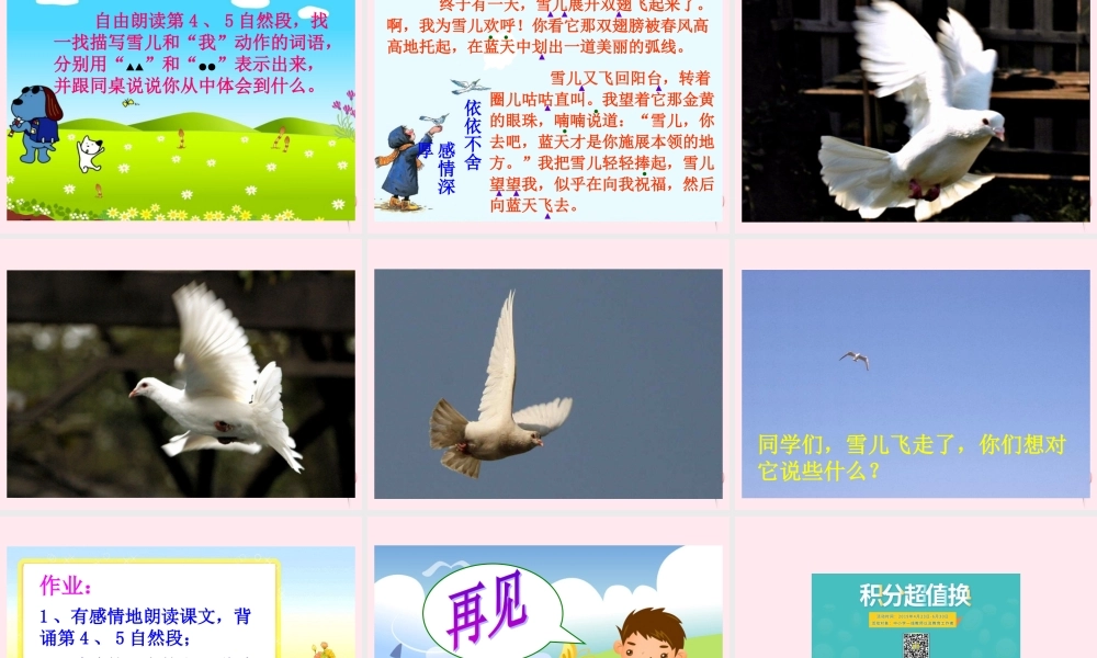 三年级语文下册 第二单元 第5课《雪儿》课件 苏教版-苏教版小学三年级下册语文课件