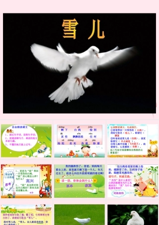 三年级语文下册 第二单元 第5课《雪儿》课件 苏教版-苏教版小学三年级下册语文课件