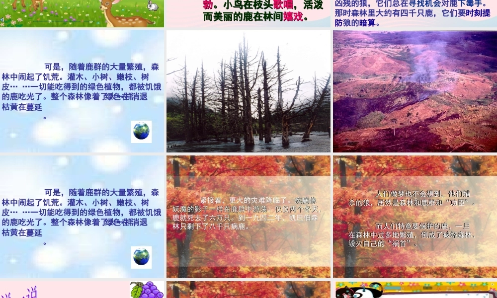 三年级语文下册 第六单元 第19课《狼和鹿》课件 苏教版-苏教版小学三年级下册语文课件