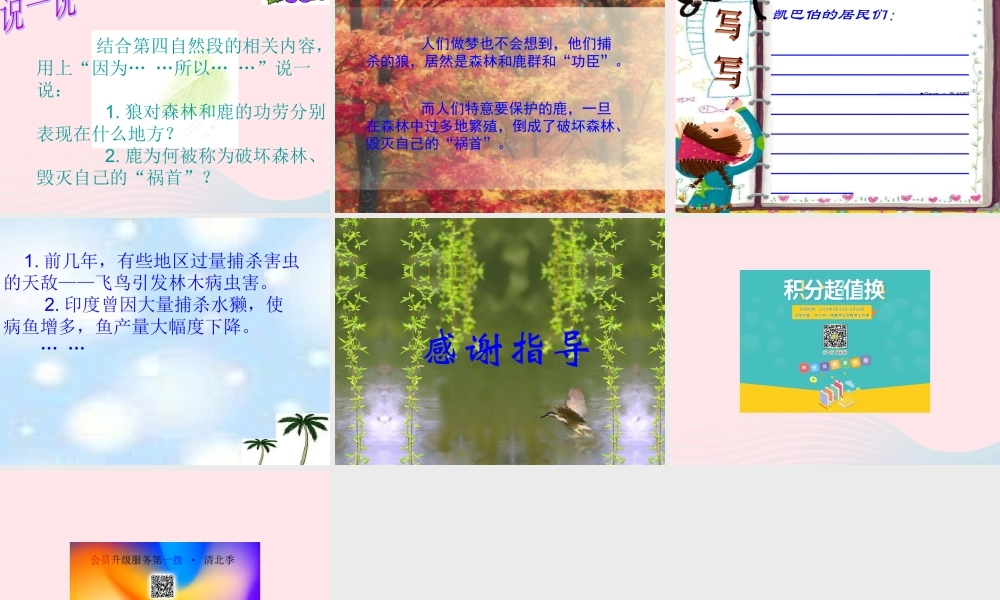 三年级语文下册 第六单元 第19课《狼和鹿》课件 苏教版-苏教版小学三年级下册语文课件