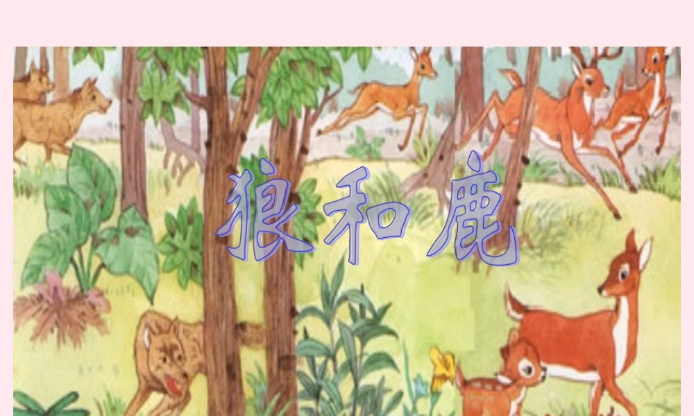 三年级语文下册 第六单元 第19课《狼和鹿》课件1 苏教版-苏教版小学三年级下册语文课件