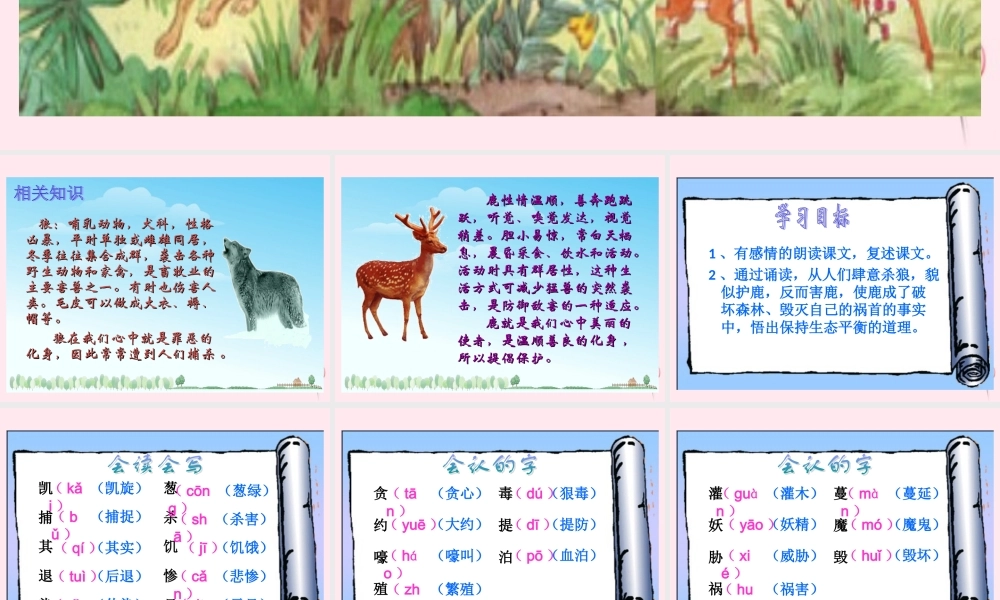 三年级语文下册 第六单元 第19课《狼和鹿》课件1 苏教版-苏教版小学三年级下册语文课件