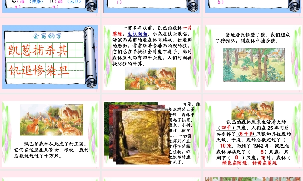 三年级语文下册 第六单元 第19课《狼和鹿》课件1 苏教版-苏教版小学三年级下册语文课件