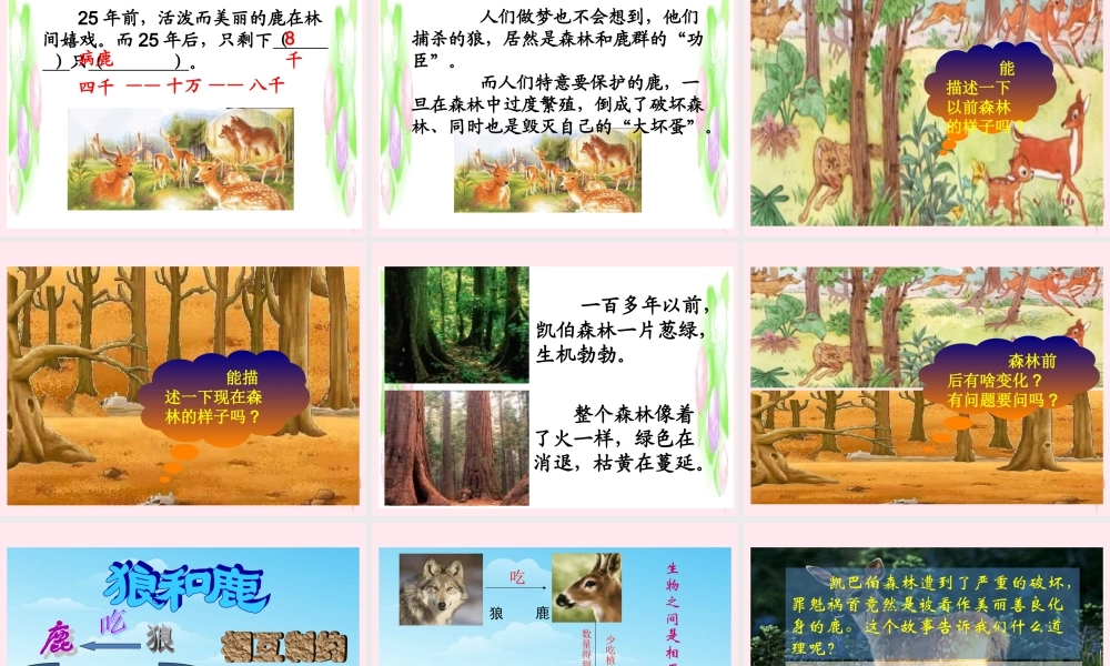 三年级语文下册 第六单元 第19课《狼和鹿》课件1 苏教版-苏教版小学三年级下册语文课件