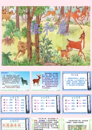 三年级语文下册 第六单元 第19课《狼和鹿》课件1 苏教版-苏教版小学三年级下册语文课件