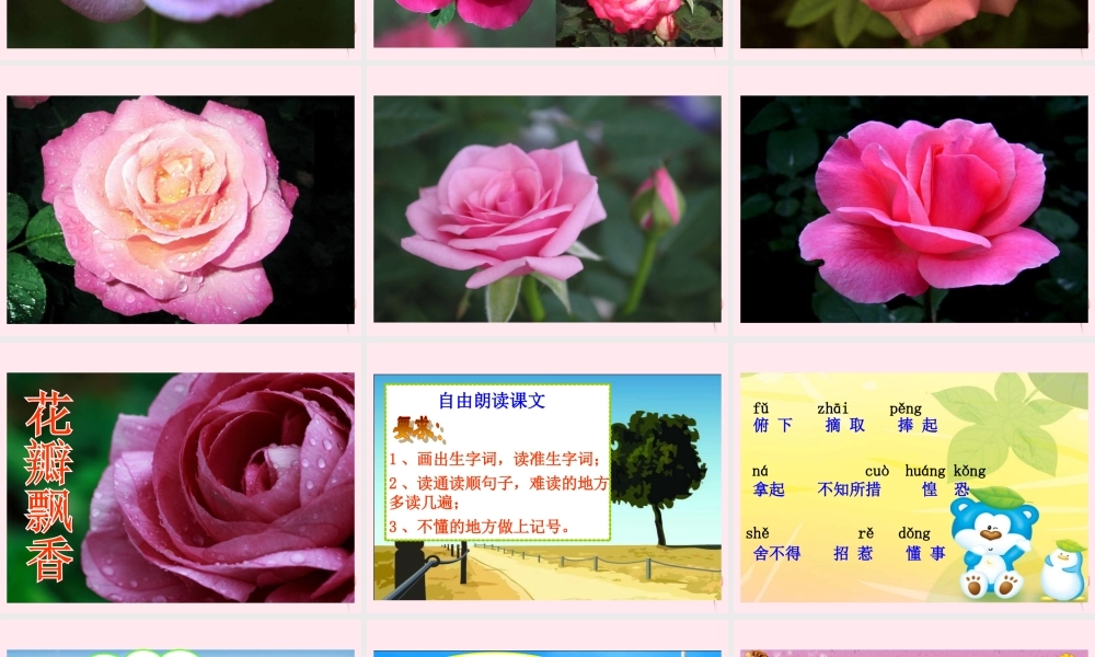 三年级语文下册 第二单元 第6课《花瓣飘香》课件 苏教版
