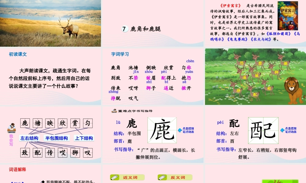 三年级语文下册 第二单元 第7课 狮子和鹿腿课件1 新人教版-新人教版小学三年级下册语文课件