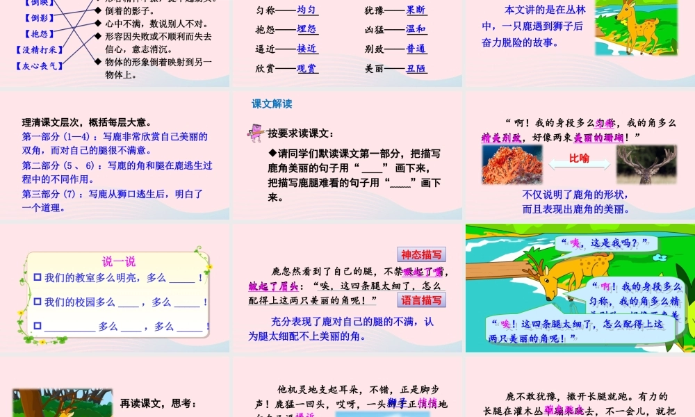 三年级语文下册 第二单元 第7课 狮子和鹿腿课件1 新人教版-新人教版小学三年级下册语文课件
