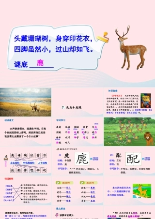 三年级语文下册 第二单元 第7课 狮子和鹿腿课件1 新人教版-新人教版小学三年级下册语文课件