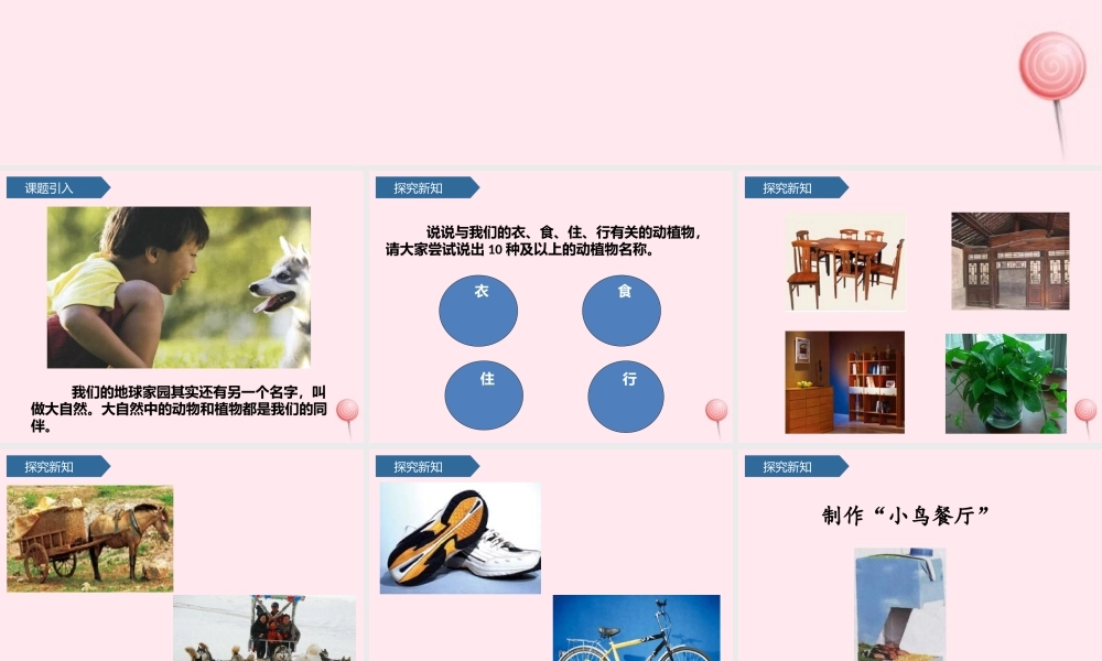 二年级科学上册 我们的地球家园 7做大自然的孩子课件 教科版-教科版小学二年级上册自然科学课件